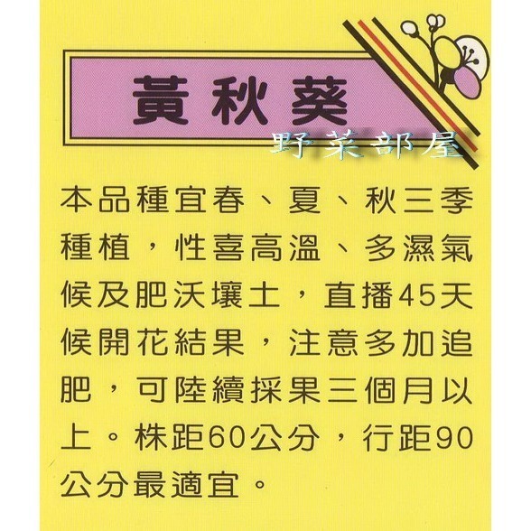 【萌田種子~】K14 黃秋葵種子4公克(約70粒) ,綠秋葵, 又名角豆, 日本進口種子~-細節圖2