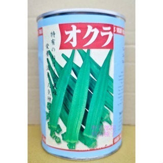 【萌田種子~】K14 黃秋葵種子4公克(約70粒) ,綠秋葵, 又名角豆, 日本進口種子~-細節圖3