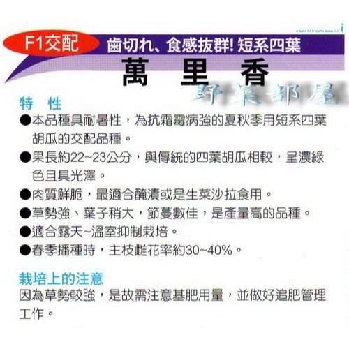 【萌田種子~】K16 短系四葉小黃瓜種子0.4公克(約18顆) , 肉質鮮脆~-細節圖2