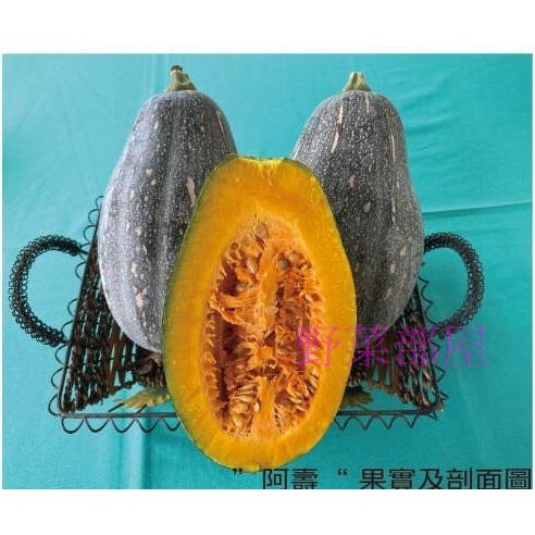 【萌田種子~】K17 阿壽木瓜型南瓜種子3粒 , 生長勢強 , 抗多種南瓜毒素病~-細節圖2
