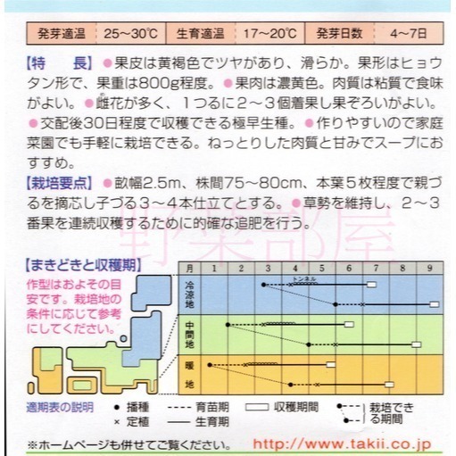 【萌田種子~】K58 日本奶油南瓜種子2粒,極早生品種 , 肉質綿~-細節圖2