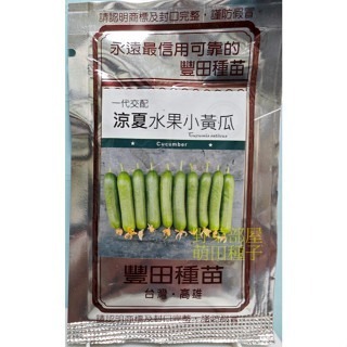 【萌田種子~】K78 涼夏水果小黃瓜種子4粒 , 早熟品種 , 耐熱~-細節圖3