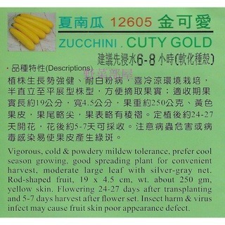 【萌田種子~】K80 金可愛夏南瓜種子2顆 , 櫛瓜 , 生長強健 , 耐白粉病~-細節圖2