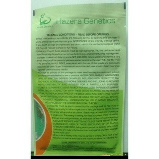 【萌田種子~】K81 以色列小黃瓜種子2顆 ,全雌小黃瓜 ,產量好且抗病~-細節圖2