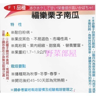 【萌田種子~】K86 福樂栗子南瓜種子3粒 ,耐白粉病 ,果肉細 ,甜味高~-細節圖2