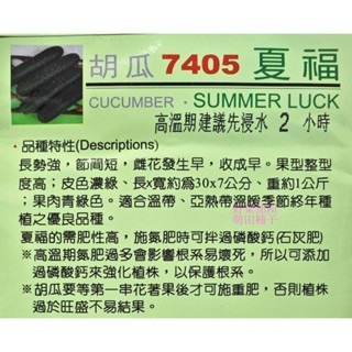【萌田種子~】K87 夏福大黃瓜種子10粒 , 生長勢強 , 節間短 , 收成早~-細節圖2