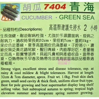 【萌田種子~】K88 青海大黃瓜種子10粒 ,生長強健 ,耐逆境 ,耐病~-細節圖2