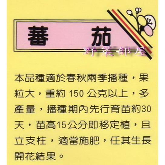 【萌田種子~】L02 日本彩果蕃茄種子4粒 , 果粒大 , 產量多~-細節圖2