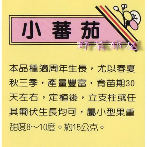 【萌田種子~】L03 日本甜心小蕃茄種子0.07公克(約40粒) , 屬小型果~-細節圖2