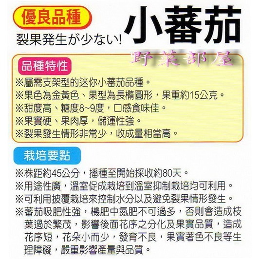 【萌田種子~】L04 日本黃金小蕃茄種子5粒 , 金玉品種 , 收成量高~-細節圖2
