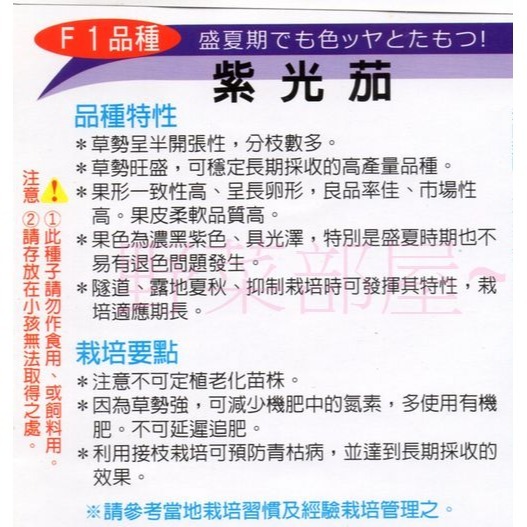 【萌田種子~】L06 日本紫光茄種子12粒 , 深紫色蛋茄, 果型完美黑紫色 , 結果率佳~-細節圖2
