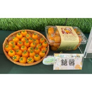 【萌田種子~】L08 糖馨黃色小蕃茄種子2粒 ,糖馨番茄 ,不停心品種 ,耐高溫 ,番茄種子 ,台農二號~-細節圖3