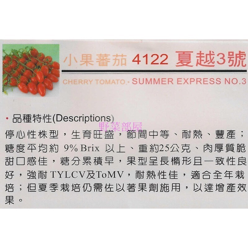 【萌田種子~】L11 夏越三號蕃茄種子1顆, 耐熱性佳 , 適合全年栽培~-細節圖2
