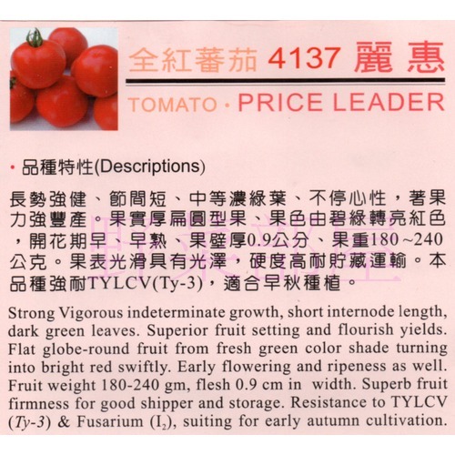 【萌田種子~】L14 麗惠紅蕃茄種子2粒 , 大果品種 , 豐產早熟 ~-細節圖2
