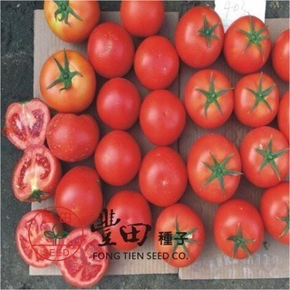 【萌田種子~】L20 紅寶石牛蕃茄種子2顆 , 硬度好 , 產量高~-細節圖5