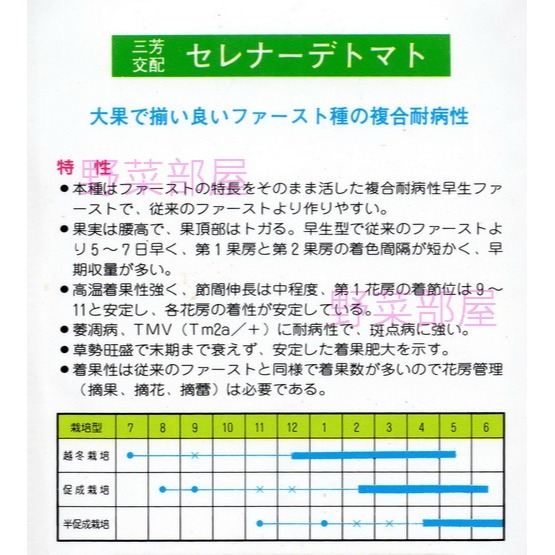 【萌田種子~】L33 尖型蕃茄種子5粒 , 夏秋早生品種 , 著果率高 ~-細節圖2