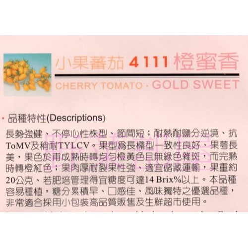 【萌田種子~】L35 橙蜜香小蕃茄種子2粒 , 糖度高 , 知名品種 ~-細節圖2