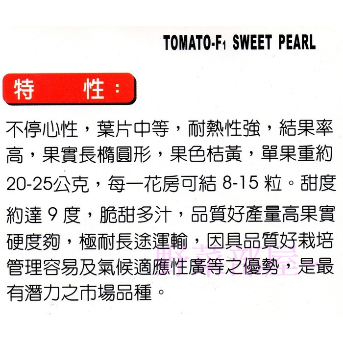 【萌田種子~】L38 甘珍小蕃茄種子 8粒 , 耐熱性強 , 產量高  ~-細節圖2