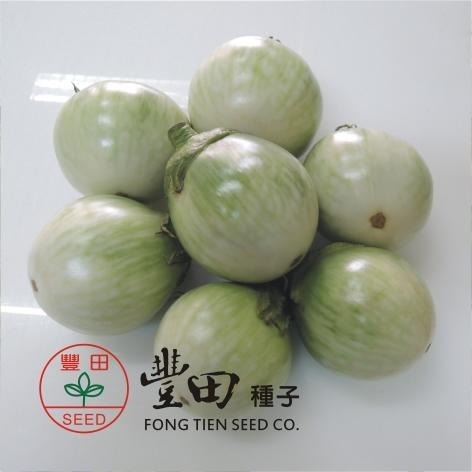 【萌田種子~】L42 玉玲瓏圓茄種子0.17公克(約50粒) , 顏色白綠相間 , 果型小巧討喜~-細節圖2