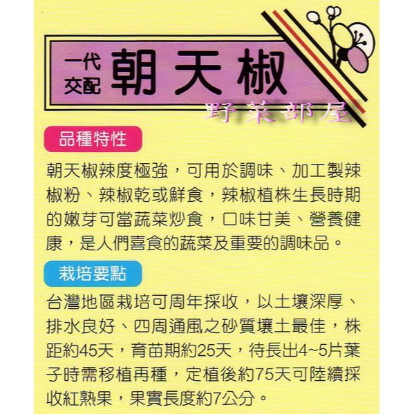 【萌田種子~】M01泰國朝天椒種子20粒 , 泰國進口種子 , 辣味強~-細節圖2