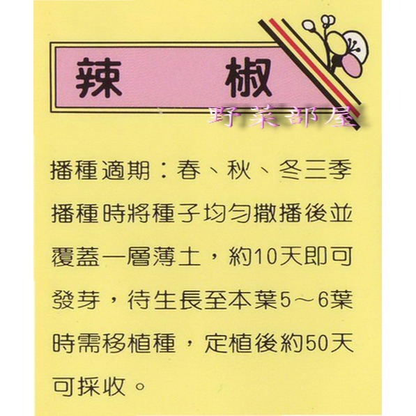 【萌田種子~】M02辣椒(羊角椒)種子0.55公克(約120粒) ,色艷味辣 ~-細節圖2
