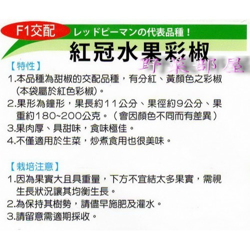 【萌田種子~】M09 水果紅甜椒種子3粒 ,食味佳 ,果肉厚實~-細節圖2