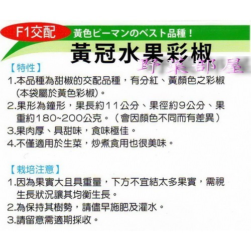 【萌田種子~】M10 水果黃甜椒種子3粒 , 食味佳 , 果肉厚實~-細節圖2