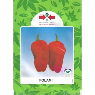 【萌田種子~】M17 紅色鬼椒種子8粒 ,泰國進口 ,辣度高 ,香氣足 ,知名品種 ~-細節圖4