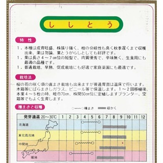 【萌田種子~】M27 小甜椒種子0.15公克 (約25粒) , 節間短 , 產量高~-細節圖2