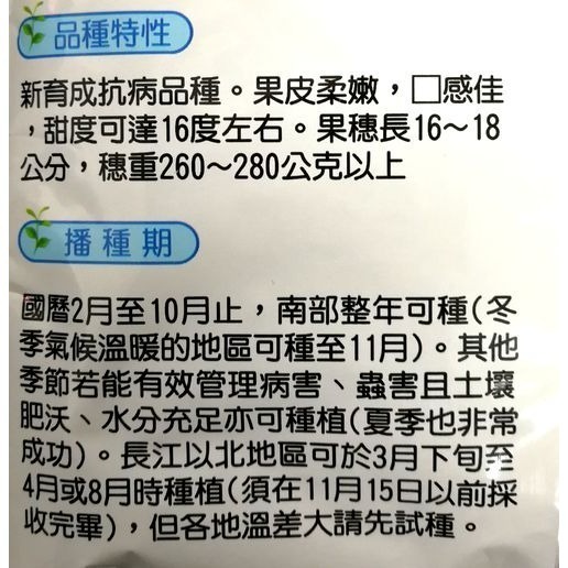 【萌田種子~】N04 好滋味雙色水果玉米種子3公克(約20粒) , 可生吃 , 甜度高~-細節圖2