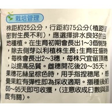 【萌田種子~】N04 好滋味雙色水果玉米種子3公克(約20粒) , 可生吃 , 甜度高~-細節圖3
