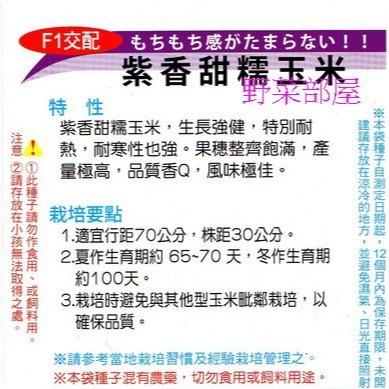 【萌田種子~】N07 紫香甜糯玉米種子5公克(約25粒), 口感香且Q , 甜度高 , 生長強健 ~-細節圖2