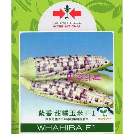 【萌田種子~】N07 紫香甜糯玉米種子5公克(約25粒), 口感香且Q , 甜度高 , 生長強健 ~-細節圖3