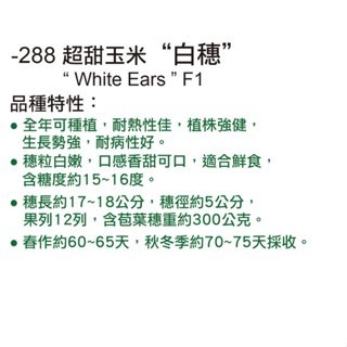 【萌田種子~】N09 白穗超甜玉米種子5公克(約25顆) , 甜度高 , 耐熱性佳 , 全年可種植 ~-細節圖2