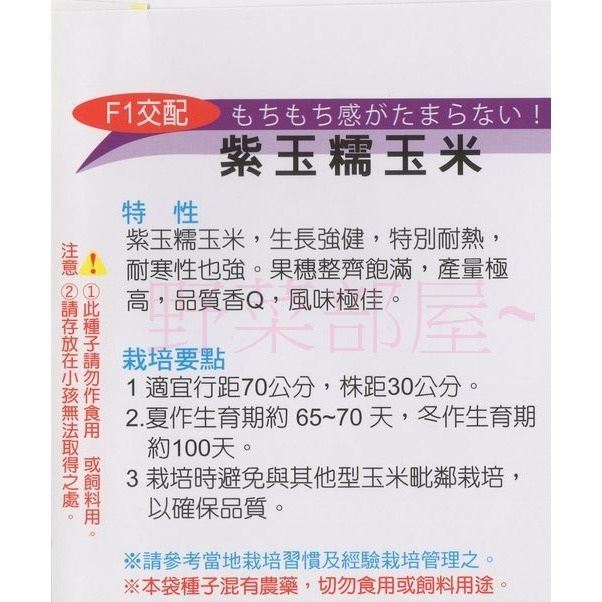 【萌田種子~】N12 紫玉糯玉米種子5公克(約25粒) , 有甜度 , 品質香Q ~-細節圖2