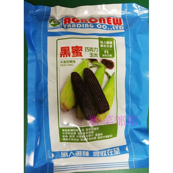 【萌田種子~】N19 黑蜜巧克力玉米種子4.5公克(約35粒) , 軟嫩的甜玉米,富含花青素~-細節圖4