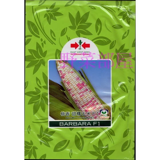 【萌田種子~】N20 桃香甜糯玉米種子6公克(約19~22粒) , 生長強健 , 穗葉青綠 , 有甜度~-細節圖3