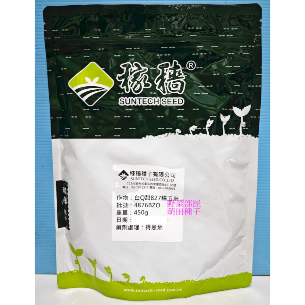 【萌田種子~】N26 827甜糯玉米種子6公克(約28粒) , 高產大穗 ,口感較糯 ,長勢強健 ,白Q甜827~-細節圖4