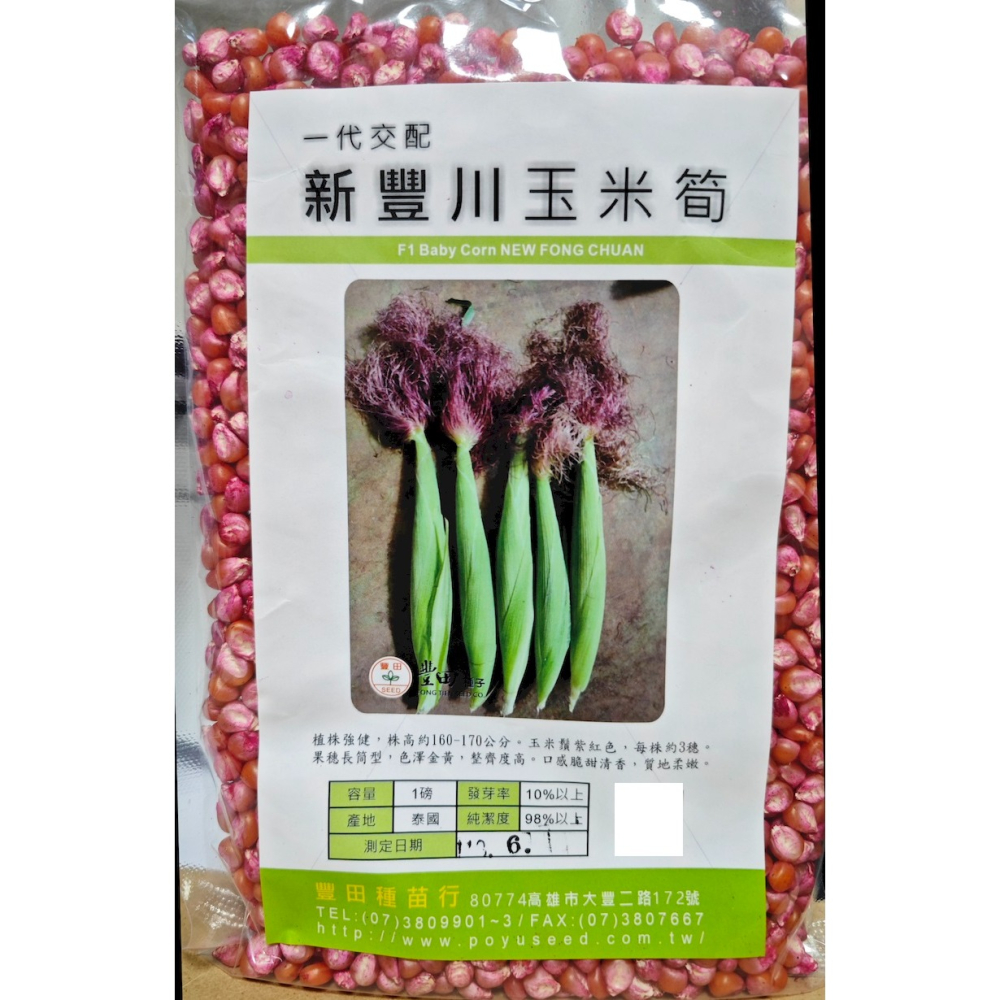 【萌田種子】N33 新豐川玉米筍種子8公克(約40粒) , 紅鬚玉米筍 , 口感脆甜清香 ~-細節圖2