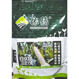 【萌田種子~】N34 白Q甜826甜糯玉米種子6公克 (約33粒), 冠軍品種 , 白Q甜802玉米升級版~-細節圖3