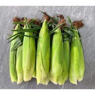 【萌田種子~】N34 白Q甜826甜糯玉米種子6公克 (約33粒), 冠軍品種 , 白Q甜802玉米升級版~-細節圖4