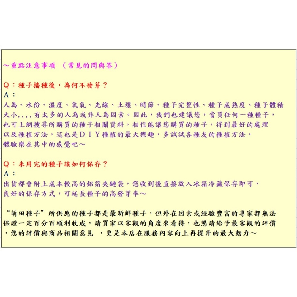 【萌田種子~】N36 黃金868超甜玉米種子5公克(約40粒) , 高度適中 , 耐病力佳~-細節圖6