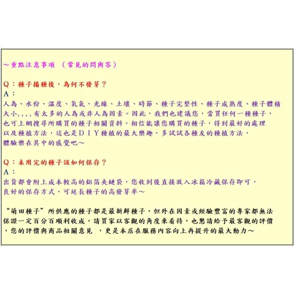 【萌田種子~】N36 黃金868超甜玉米種子5公克(約40粒) 黃色甜玉米 高度適中 耐病力佳~-細節圖6