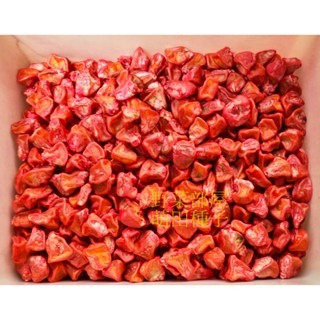 【萌田種子~】N38 232薄殼甜玉米種子3公克(約20粒種子) ,皮薄 ,可生食, 甜度高~-細節圖2