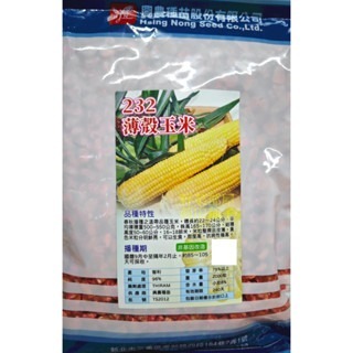【萌田種子~】N38 232薄殼甜玉米種子3公克(約20粒種子) ,皮薄 ,可生食, 甜度高~-細節圖3