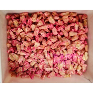 【萌田種子~】N39 新白光甜玉米種子2.5公克(約25粒) , 牛奶水果玉米~-細節圖2