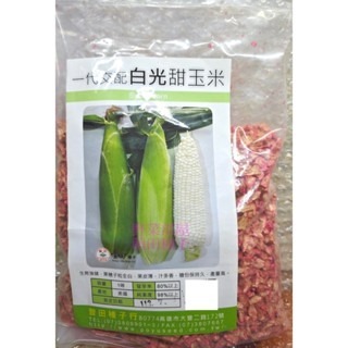 【萌田種子~】N39 新白光甜玉米種子2.5公克(約25粒) , 牛奶水果玉米~-細節圖3