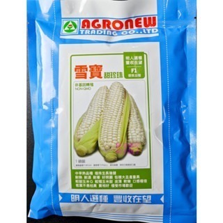 【萌田種子~】N44 雪寶甜珍珠玉米種子7公克(約35粒) ,皮薄 ,口感Q甜 ,苞葉不易枯黃~-細節圖2