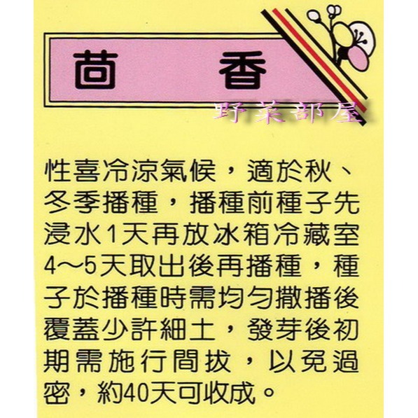 【萌田種子~】O02 茴香種子10公克(約6000粒) ,容易種植 ,適合用於多種料理 ,也可泡茶~-細節圖2