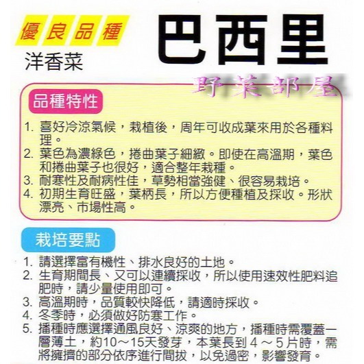 【萌田種子~】O03 日本巴西里種子0.7公克(約350粒) , 俗稱＂荷蘭芹＂~-細節圖2